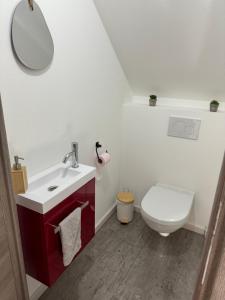 a bathroom with a toilet and a sink and a mirror at Appartement Le Belarya in Wintzenheim +22 photos