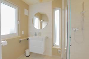 a bathroom with a sink and a shower and a mirror at Am Hafen 21 in Zislow +16 photos