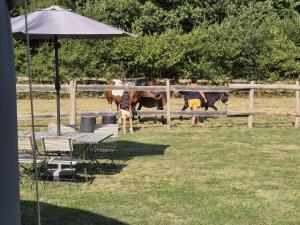 a picnic table and an umbrella with cows behind a fence at Yourtes l'atelier des rêves Castanea - Séjour nature au cœur du Parc Loire Anjou Touraine in Continvoir