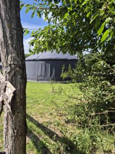 a tent in a field with a tree at Yourtes l'atelier des rêves Castanea - Séjour nature au cœur du Parc Loire Anjou Touraine in Continvoir