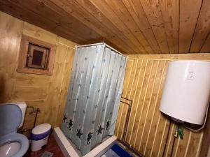 a small bathroom with a shower and a toilet at Cabana Paltini  +11 photos