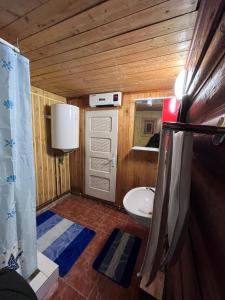 a small bathroom with a sink and a toilet at Cabana Paltini 