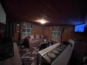 a living room with a couch and a tv at Cabana Paltini 