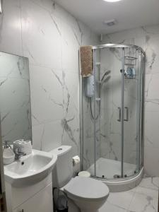 ダブリンにあるLury's Studio Apartmentのシャワー、トイレ、洗面台を備えたバスルーム