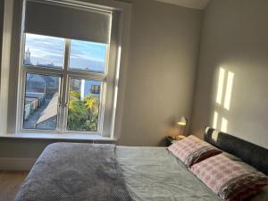 ダブリンにあるLury's Studio Apartmentのベッドと大きな窓のある寝室