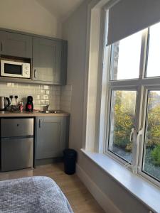 ダブリンにあるLury's Studio Apartmentのキッチン(グレーのキャビネット、窓、シンク付)