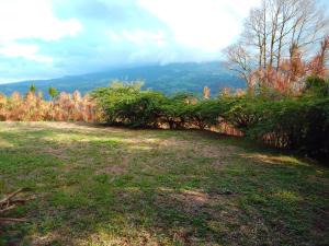 Φωτογραφία από το άλμπουμ του El Spot Orgánico σε Quesada