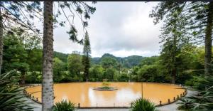 a large pool of water in a park with trees at Pés Verdes-Alojamento e Chá in Ponta Delgada