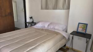 a bedroom with a bed and a picture on a table at Espacio Inn zona Kempes in Córdoba