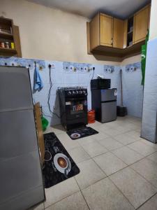 Kuchyň nebo kuchyňský kout v ubytování Located in White house, Nakuru