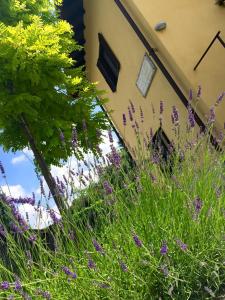 Zahrada ubytování B&B Osteria dello sperone