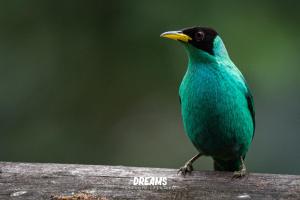 Φωτογραφία από το άλμπουμ του El Toro en Bicicleta σε San Miguel de los Bancos +55 φωτογραφίες