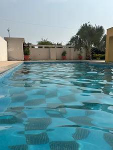 a swimming pool with blue water in a yard at The Starlight Farmstay- Poolside Tent Stay in Jaipur in Jāmb +8 photos