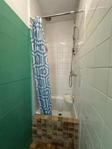 a bathroom with a shower with a shower curtain at Appartement Lumineux, à 5 minutes de Paris in Asnières-sur-Seine