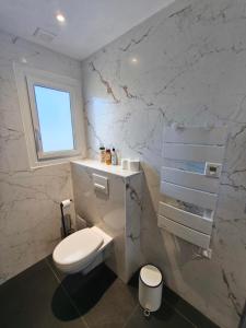 a white bathroom with a toilet and a window at Rez de villa avec beau jardin et belle vue in Saint-Laurent-du-Var +17 photos