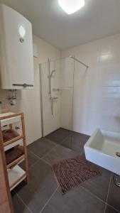 ブライテンブルンにあるAppartements Stadlerのシャワーと洗面台付きのバスルーム