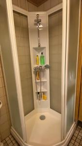 Et badeværelse på Arctic Apartment