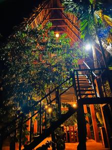 哈伯勒内Habarana Tree House - Ivory cottage的建筑物前有长凳的树