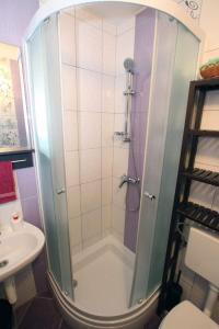 ein Badezimmer mit Dusche, Toilette und Waschbecken in der Unterkunft Traditionelles Steinhaus mit Innenhof und Terrasse im Zentrum von Medulin, nicht weit vom Strand entfernt in Medulin