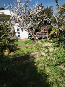 a house with a tree and a bench in a yard at Rez de villa avec beau jardin et belle vue in Saint-Laurent-du-Var