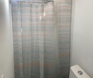a shower curtain in a bathroom with a toilet at Departamentos Yireh in Mexicali