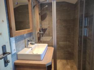 a bathroom with a sink and a shower at Zeffereralm in Forstau +27 photos