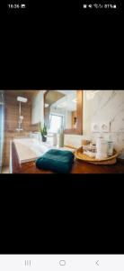 a bathroom with a sink and a counter top with a sink at Cabana Stil in Mărişel