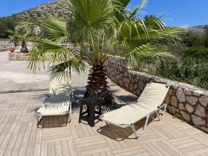 zwei Stühle und eine Palme auf einer Terrasse in der Unterkunft Villa Evangelia in Karavádhos