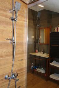 a bathroom with a shower with a sink and a mirror at Chez Vila in Prizren +20 photos