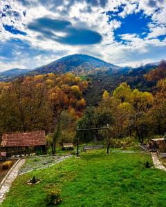 Φυσικό τοπίο κοντά σε αυτός ο ξενώνας
