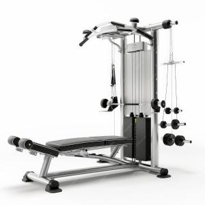 Un gimnasio con pesas y un banco en Kilmokea Country Manor & Gardens, en New Ross