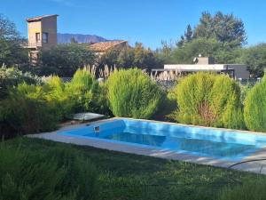 a swimming pool in the middle of a garden at CASA PARA 10 PERSONAS, CAFAYATE in Cafayate