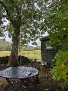 ein Picknicktisch neben einem Baum und einem Schuppen in der Unterkunft The Rodney Shepards hut in Eyam