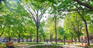 a park with benches and trees in a park at FULL KITCHEN 12min from DTOWN Room B in Montréal +9 photos