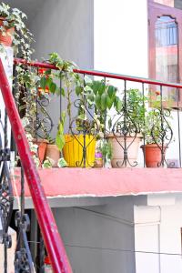 Gallery image of Mountain view kasol in Jāmb