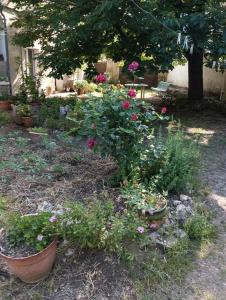 Zahrada ubytování Appartement avec accès jardin