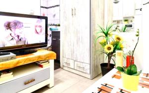 TV a/nebo společenská místnost v ubytování סטודיו חדש נשימה מחוף הים בוגרשוב