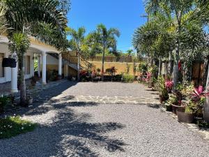 a driveway with palm trees and a house at Ahavah Guesthouse in Trou dʼ Eau Douce