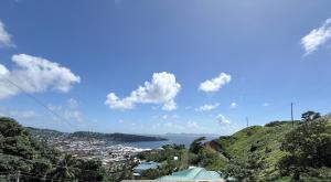 キングスタウンにあるM&G City View Apartmentsの市街と水の景色 +1枚の写真