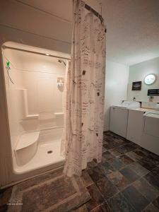 a bathroom with a shower with a toilet and a sink at Auberge Le Chic in Maniwaki