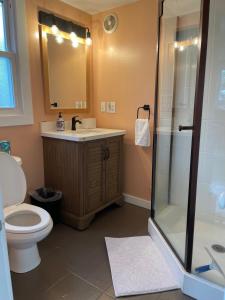 une salle de bain avec douche, lavabo et toilettes dans l'établissement Eastside Abode - Local Living Weekly & Monthly Rentals Only Contact for Monthly Rates, à Grand Haven