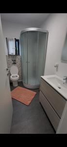 a bathroom with a shower and a toilet and a sink at Cabana 5 Banuti in Statiunea Borsa +27 photos