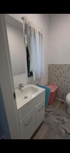 a bathroom with a sink and a mirror and a toilet at Cabana 5 Banuti in Statiunea Borsa