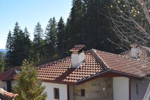 Naturlandskabet i nærheden af feriehuset