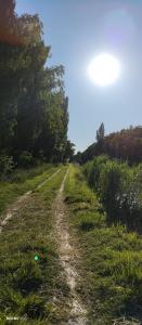 Příroda nedaleko apartmánu