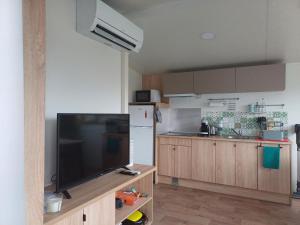 a kitchen with a large television and a refrigerator at Le panoramique in Saillagouse