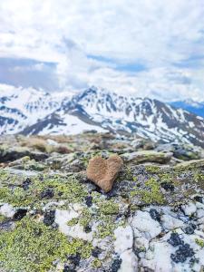 een hartvormige rots die op de top van een berg ligt bij das Alpenblick & Outdoor Lodge Nauders in Nauders +13 foto's