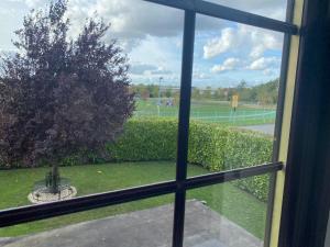 a view of a tree from a window at Chimney View Annexe in Wootton