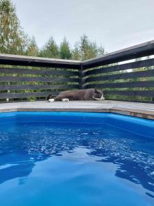 Fotografie z fotogalerie ubytování Nävekvarn, torp med bastu och badtunna nära vandringsled v destinaci Nävekvarn + 19 fotografií