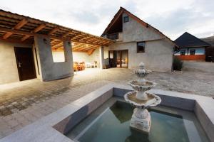 a courtyard with a fountain in front of a house at Șura lu' Aurel in Gîrdani